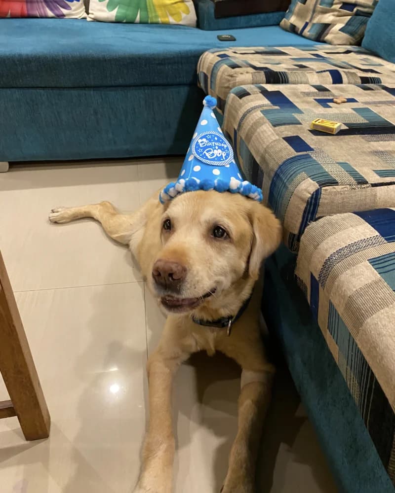 Jerimy: birthday boy, party hat and all