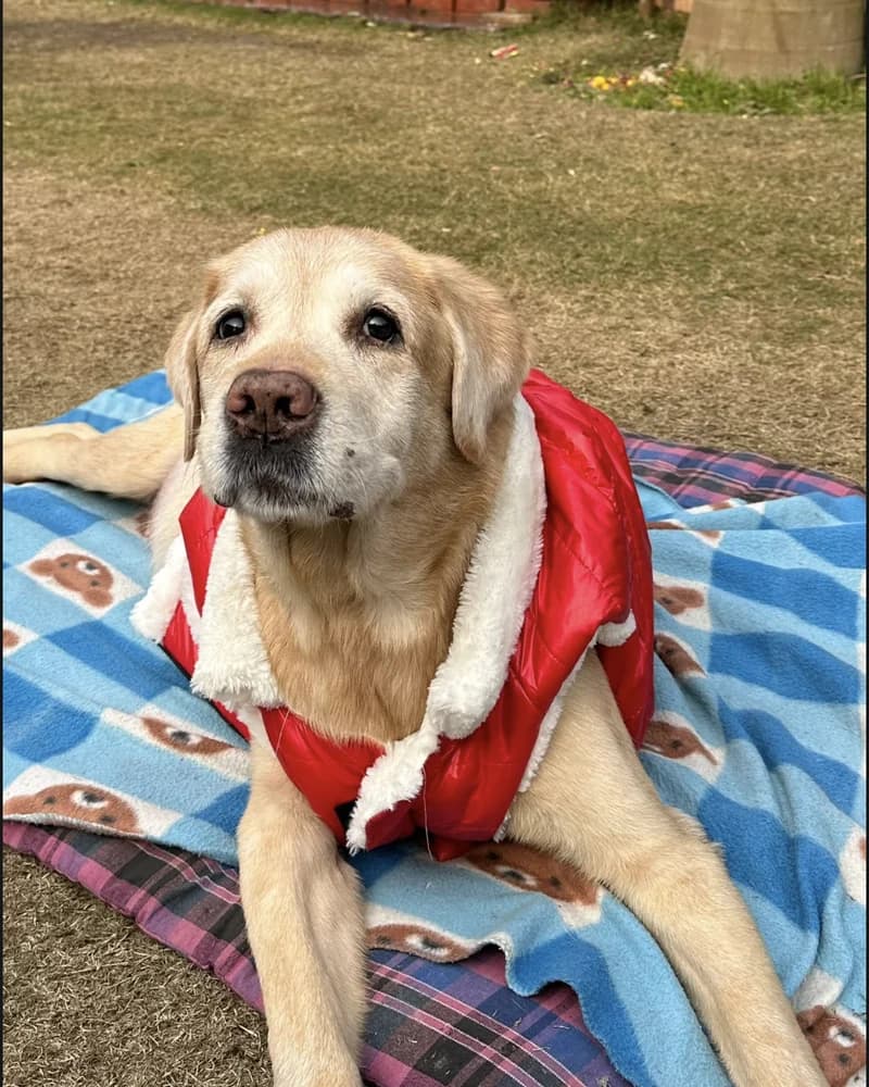 Jerimy: winter-ready in his red jacket